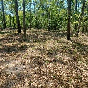 169 Courtney, North Augusta, SC, 29860