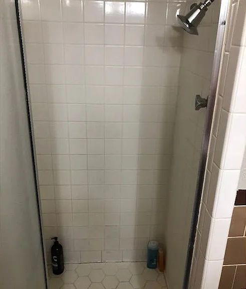 Master bath shower.