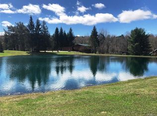 11050 Pratham Rd, East Concord, NY 14055