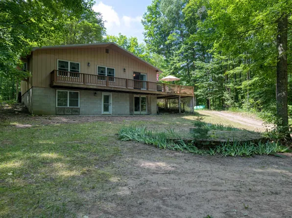 309 Oak Hill Rd SE, Fife Lake, MI 49633
