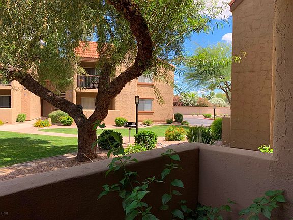 View from patio 2