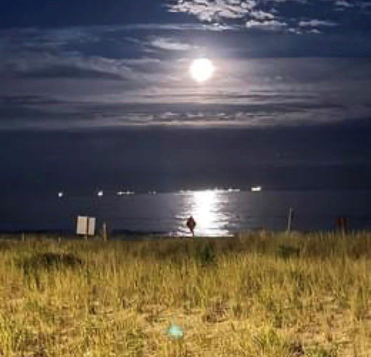 1st image of 141 Beach 112th St