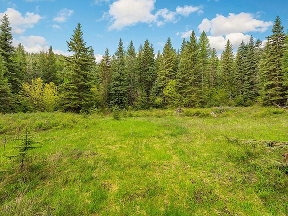 3rd image of 1520 Bierney Creek Rd