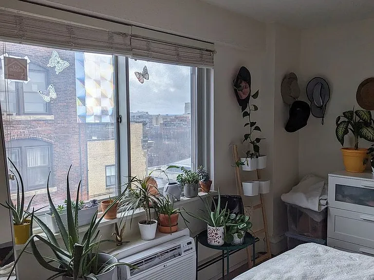 BostonView Apartments — Photo 15
