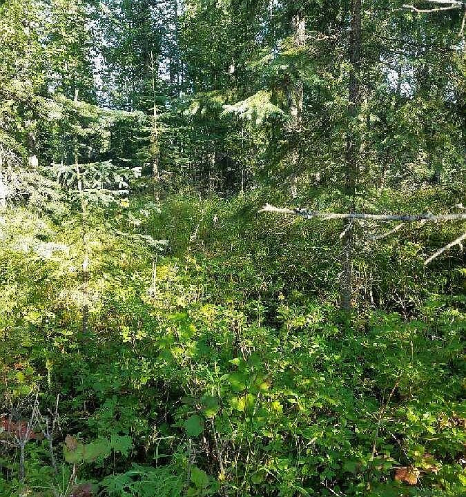 L10 B1 Baranoff Ter, Nikiski, AK 99635 Zillow