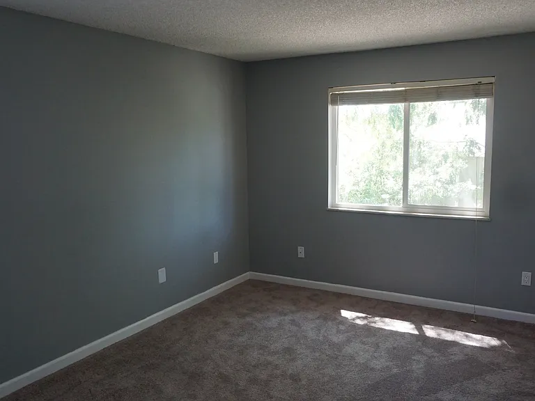 Huge master bedroom (13' x 13') easily holds a king size bed!