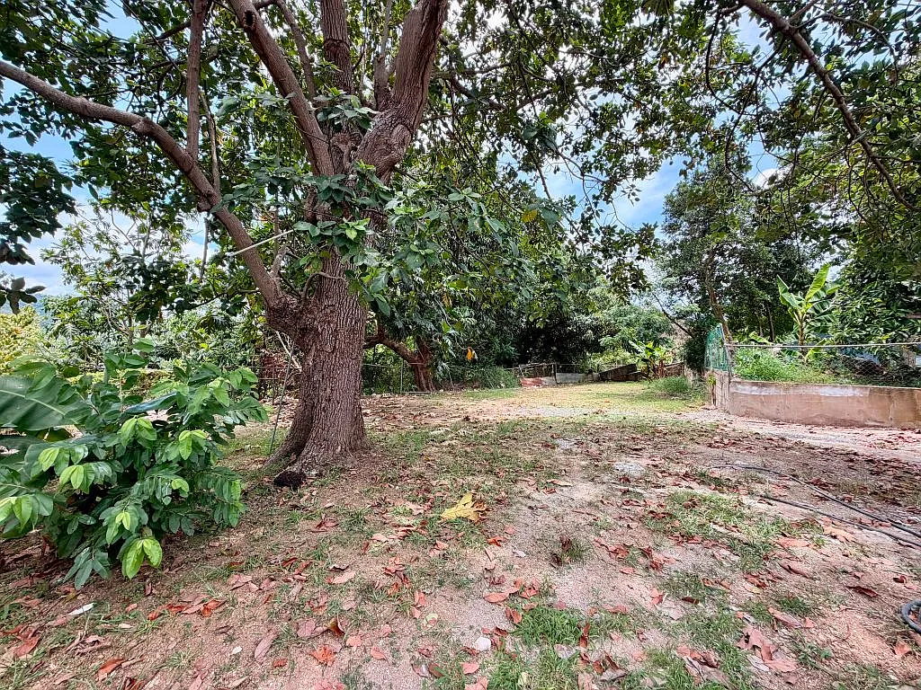 3 bed, 2.0 bath, 1500 sqft, $1,600 — Photo 2
