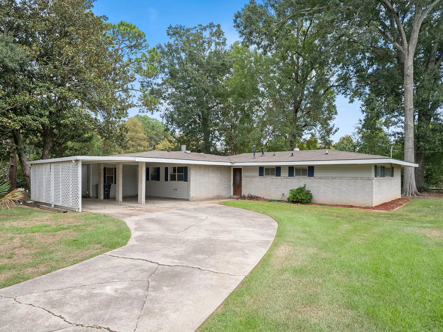 Forest Hill - 1 — Photo 3