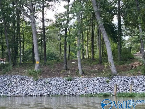 44 County Road 513, Centre, AL 35960