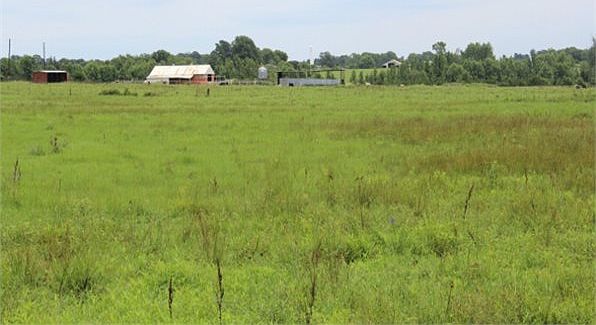 1st image of 243 County Road 4257