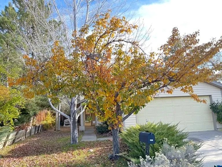 1254 Ambassador Dr — Photo 21