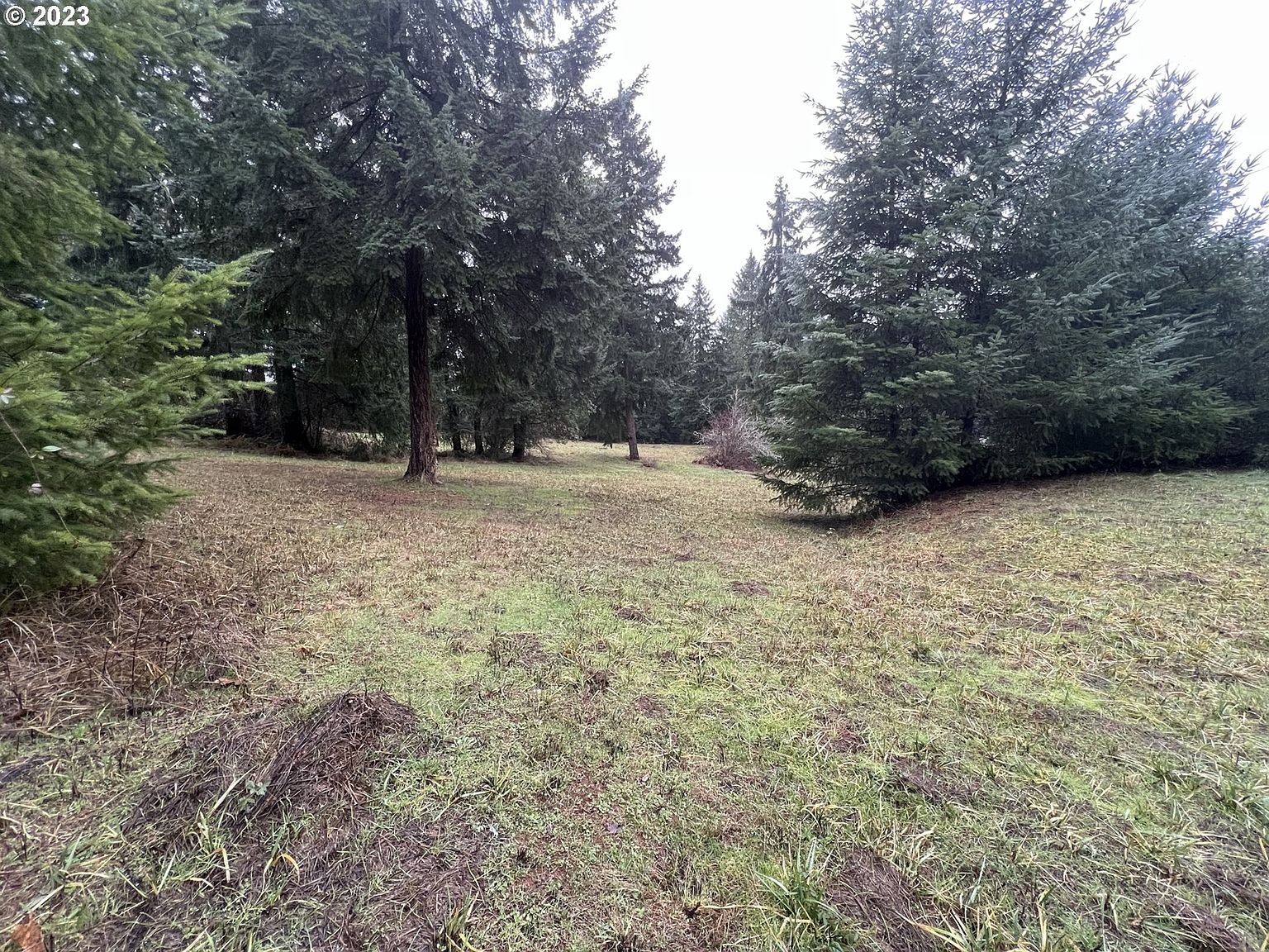 Bolton Hill Rd 200, OR 97487 MLS 22022873 Zillow