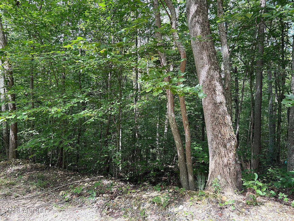 1st image of Meandering Cir Lot 4
