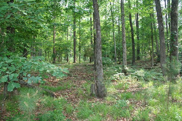 2nd image of 5197 Linder McCurdy Rd