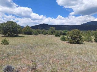397 Rainbow TRL, South Fork, CO 81154