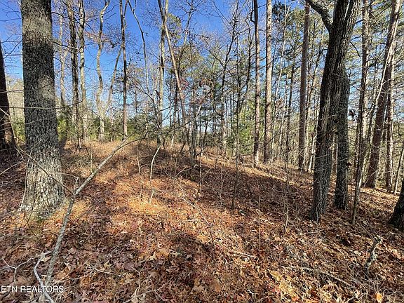 3rd image of 27 Tall Pine Cir Lot 27