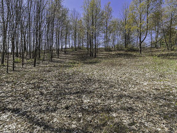 4th image of 16 Campbell Lake Dr