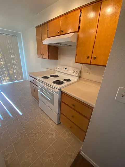 1 bed, $1,150 — Photo 4