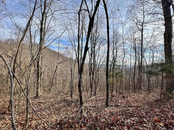 392AC Squirrel Flat Rd, Jamestown, TN 38556