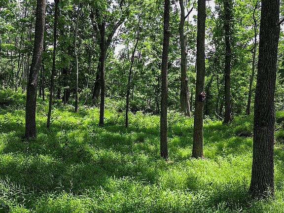 3rd image of Deer Pond Lot 2 Drive