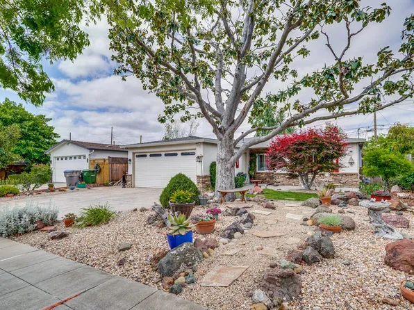 3139 Arroba Way, San Jose, CA 95118