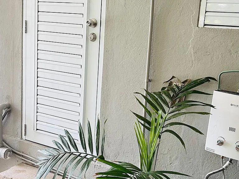 Entrance door