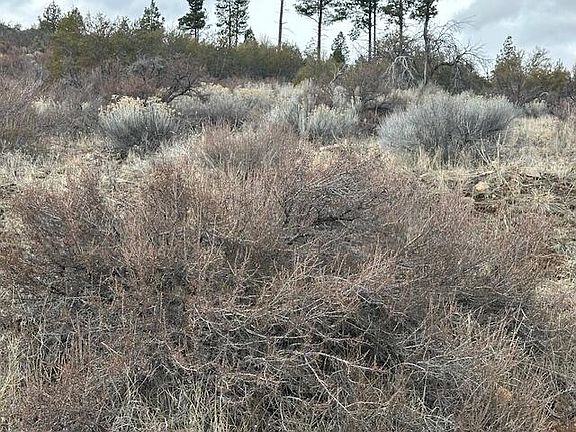 4th image of 0 Cote Cyn Lot 17