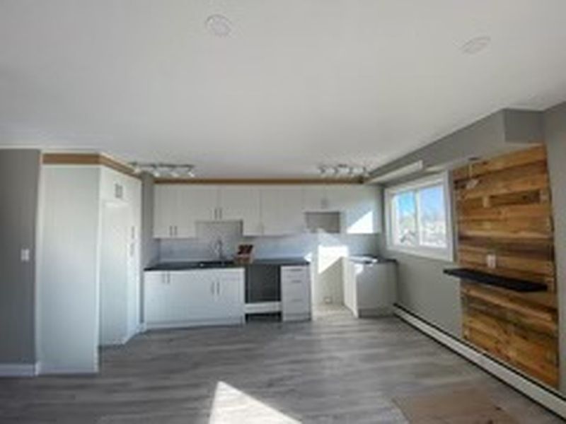 Edmonton Apartment for rent - 2 Bedrooms — photo 3