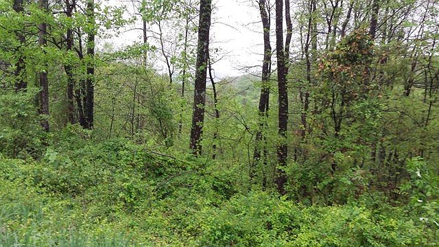 2nd image of 2085 Double Top Rd