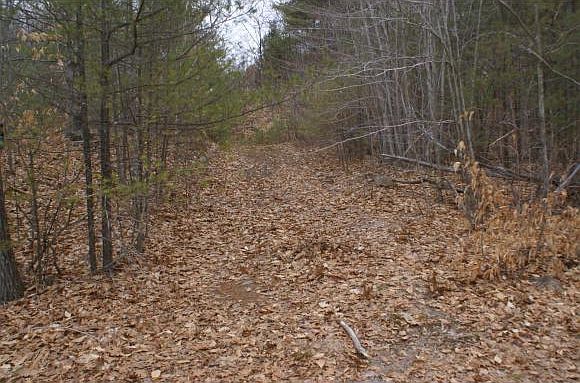 2nd image of 34 Pheasant Dr