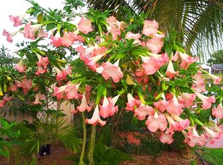 2005 NW 9th St, Delray Beach, FL 33445