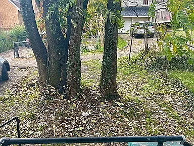1613 Wyoming Ave — Photo 17