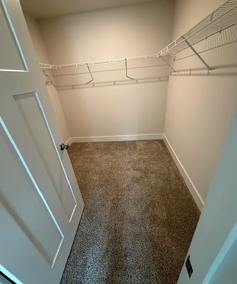 3338 Garganey Rd — Photo 10
