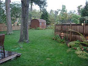Another Back Yard View