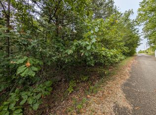 0 Lost Ln #359, Shell Knob, MO 65747