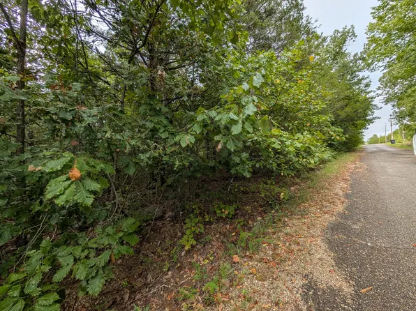 000 N Lot 359 Millstone Street, Shell Knob, MO 65747