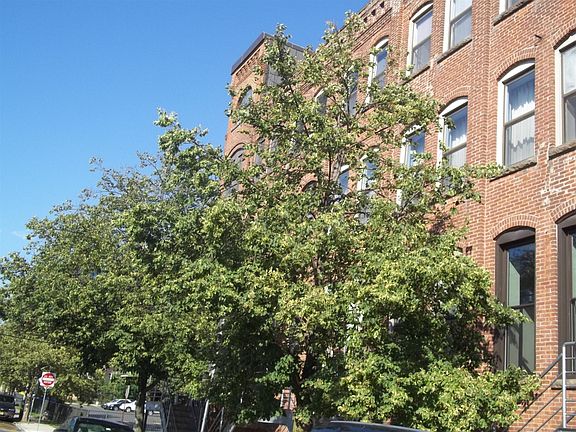 4th image of 54-60 McWhorter St #2BX