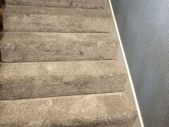 4th image of 4509 Briarwood Ln