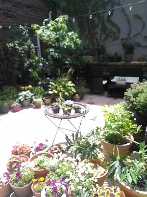 Rented by Red Group Consulting, Inc. | media 2