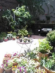 Rented by Red Group Consulting, Inc.