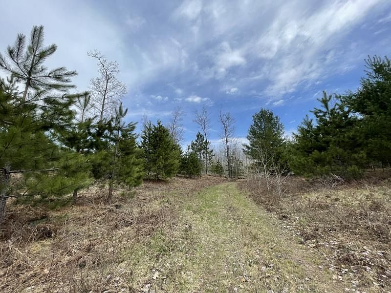 Hubbard Lake Trl, Hubbard Lake, MI 49747 Zillow