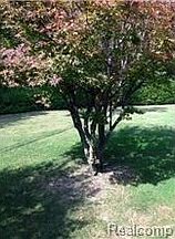 3rd image of 6373 University Dr