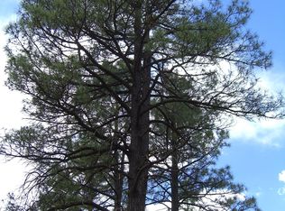 240 S Freds Rd, Young, AZ 85554