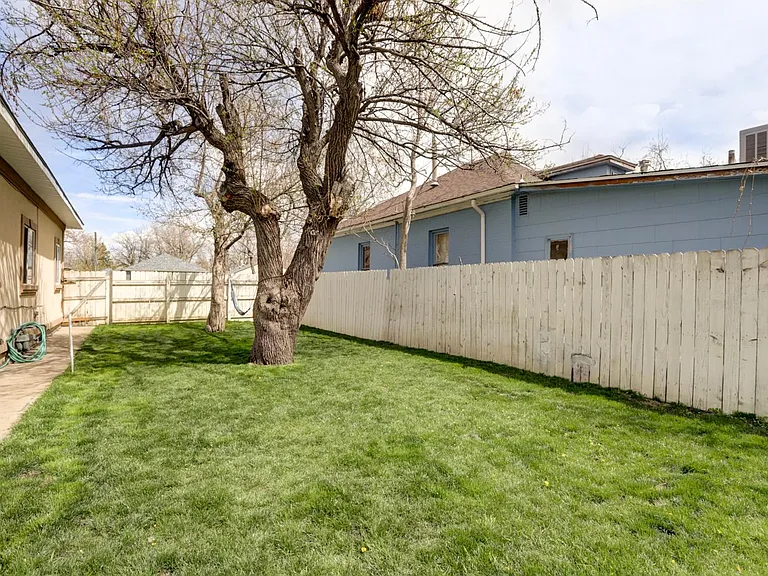 south fenced back yard with apricot and apple tree. grass is always greener in the spring