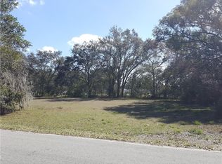 721 1st St, Polk City, FL 33868