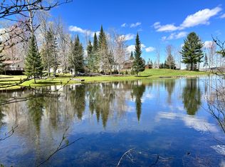 L-100 101 High Pine Ct, Wolverine, MI 49799