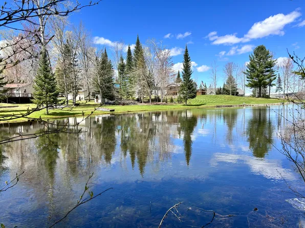 L-100 101 High Pine Ct, Wolverine, MI 49799