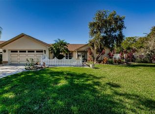 4301 Elton Pl, Valrico, FL 33596