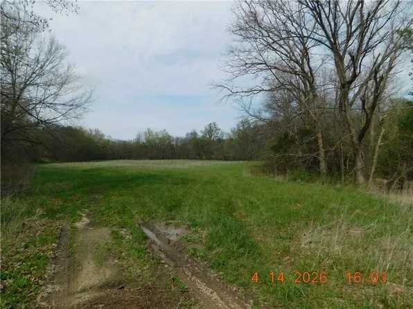 493 SW 1000th Rd, Chilhowee, MO 64733