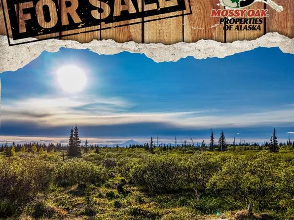 54151 Straight In Trl SW, Ninilchik, AK 99639